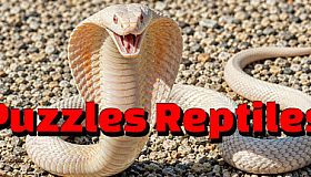 Puzzles Reptiles