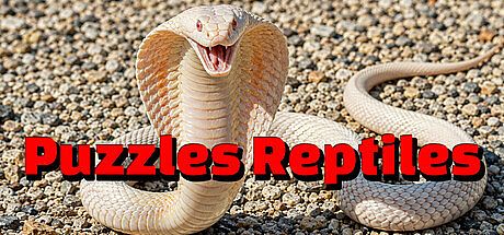Puzzles Reptiles