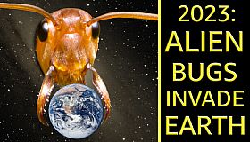 2023: Alien Bugs Invade Earth