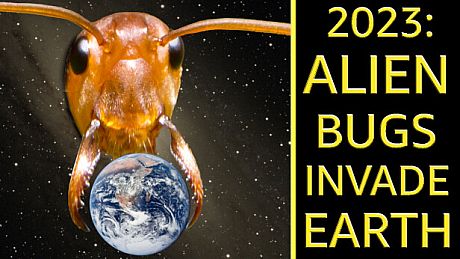 2023: Alien Bugs Invade Earth