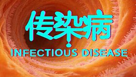传染病/Infectious Disease
