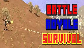 Battle Royale Survival