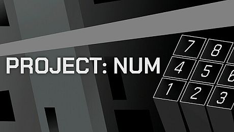 Project: Num Game