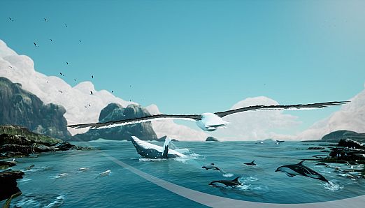 Toroa: Skycall