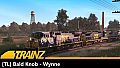 Trainz 2019 DLC - [TL] Bald Knob - Wynne