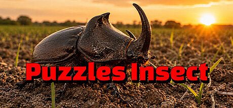 Puzzles Insect Game