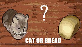 Cat or Bread?