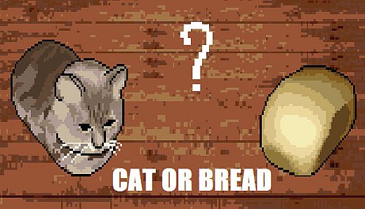 Cat or Bread?