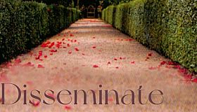 Disseminate