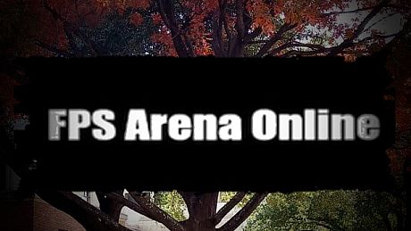 FPS Arena Online Game