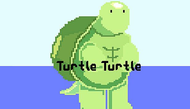 Buy Turtle Turtle