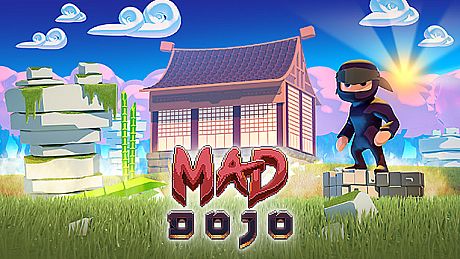Mad Dojo Game