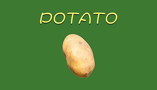 Potato