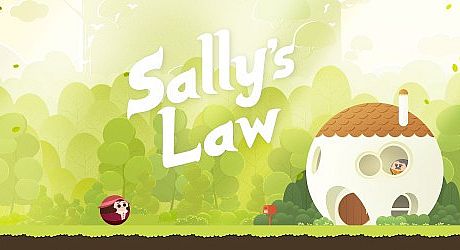 Sally's Law Game