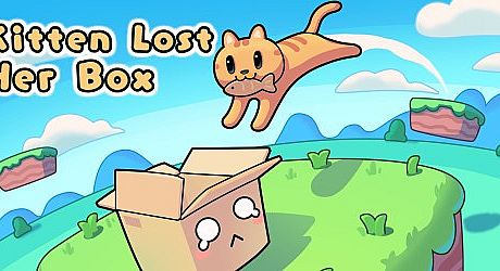Kitten Lost Her Box Game
