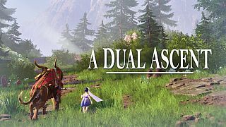 A Dual Ascent Game