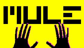 MULE