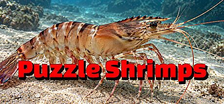 Puzzle Shrimps Game