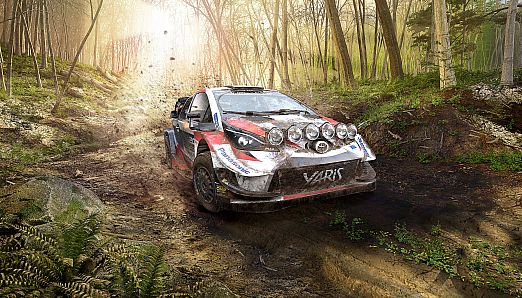 WRC 9 FIA World Rally Championship