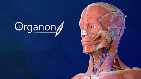 3D Organon Game