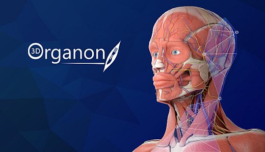 3D Organon