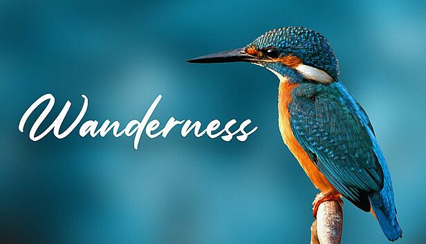 Buy Wanderness