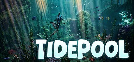 Tidepool