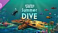 Puzzling Places - Summer Dive