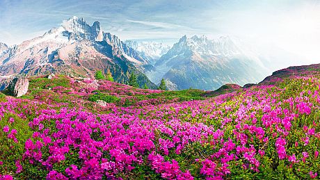 Nature Escapes 5 Collector's Edition Game