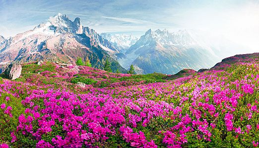 Nature Escapes 5 Collector's Edition