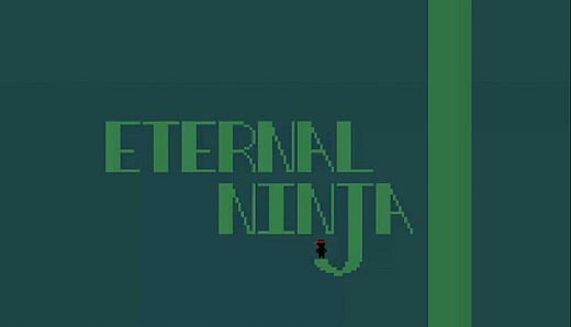Eternal Ninja