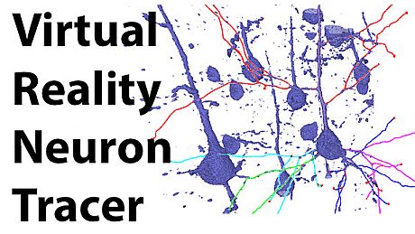 Virtual Reality Neuron Tracer Game