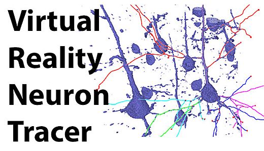 Virtual Reality Neuron Tracer