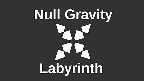 Null Gravity Labyrinth Game