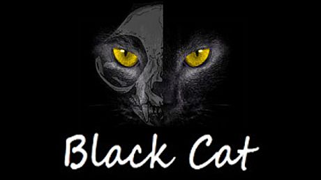 Black Cat Game
