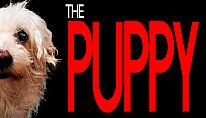 Comprar The Puppy para PC