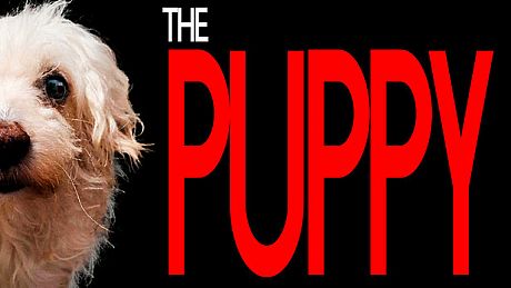 The Puppy Game