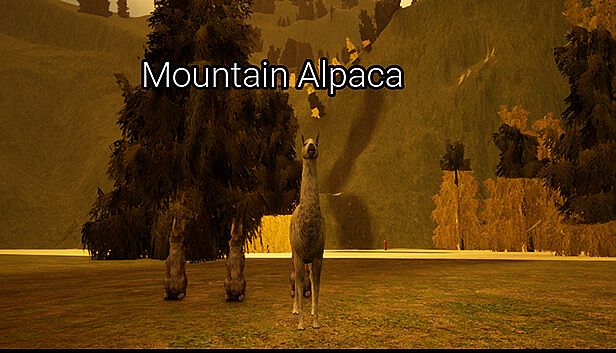 Buy Mountain Alpaca