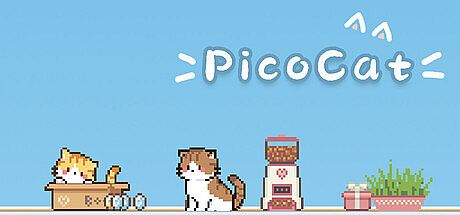 PicoCat