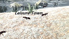 Leisure Town