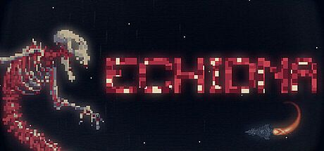 ECHIDNA Game