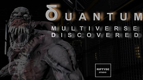 Quantum Multiverse Game