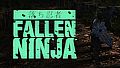 Fallen Ninja