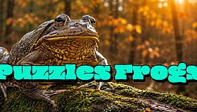 Puzzles Frogs