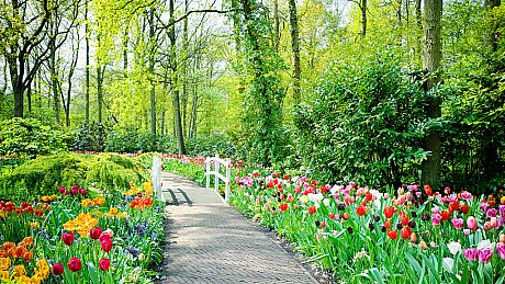 Nature Escapes CE Game