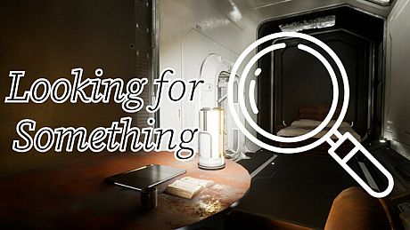 Looking for Something Game