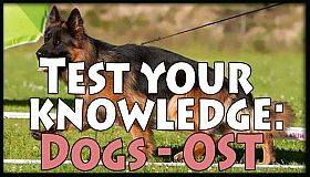 Test your knowledge: Dogs - OST
