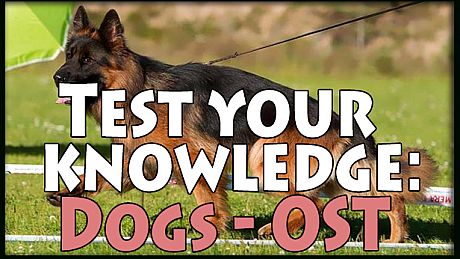 Test your knowledge: Dogs - OST DLC