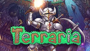 Terraria Game