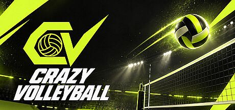 CrazyVolleyball